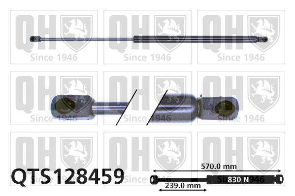 QUINTON HAZELL Газовая пружина, крышка багажник QTS128459